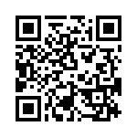 T38045-03-0 QRCode