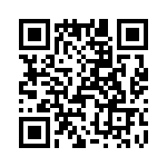 T38045-13-0 QRCode