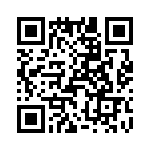 T38048-13-0 QRCode