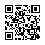 T38060-16-0 QRCode