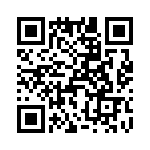 T38061-22-0 QRCode