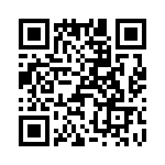 T38065-21-0 QRCode