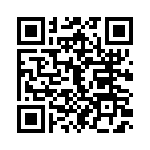 T38068-04-0 QRCode