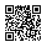 T38068-20-0 QRCode