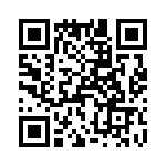 T38071-02-0 QRCode