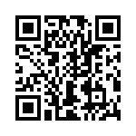 T38075-10-0 QRCode