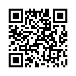 T38100-24-0 QRCode