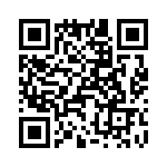 T38102-04-0 QRCode