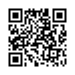 T38102-09-0 QRCode