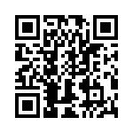 T38102-12-0 QRCode