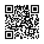 T38103-04-0 QRCode