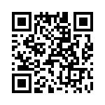 T38103-16-0 QRCode