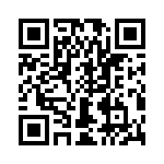 T38110-12-0 QRCode