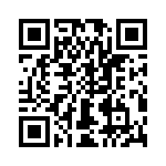 T38112-04-0 QRCode