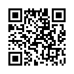 T38112-23-0 QRCode