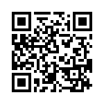 T38132-01-0 QRCode