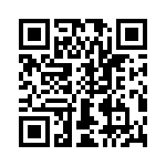 T38132-10-0 QRCode