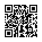 T38133-09-0 QRCode