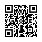 T38135-03-0 QRCode