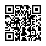 T38135-09-0 QRCode