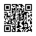 T38135-13-0 QRCode