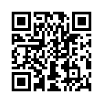 T38138-03-0 QRCode