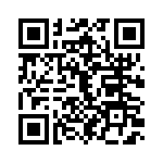 T38138-09-0 QRCode