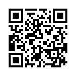 T38160-20-0 QRCode