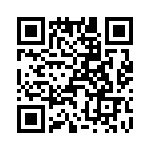 T38160-25-0 QRCode