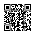 T38162-10-0 QRCode