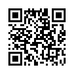 T38162-13-0 QRCode