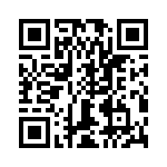 T38163-13-0 QRCode