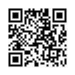 T38173-03-0 QRCode