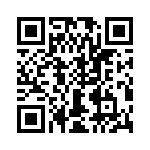 T38175-09-0 QRCode