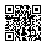 T38211-02-0 QRCode