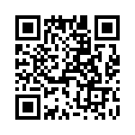 T38213-11-0 QRCode