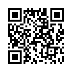 T38213-13-0 QRCode