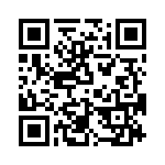 T38213-22-0 QRCode