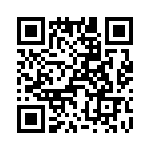 T38228-03-0 QRCode