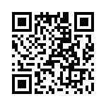 T38230-11-0 QRCode