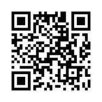 T38238-02-0 QRCode