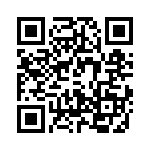 T38310-04-0 QRCode