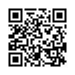 T38310-11-0 QRCode