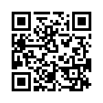 T38313-02-0 QRCode