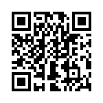 T38313-22-0 QRCode