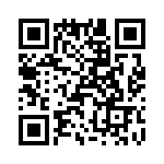 T38320-22-0 QRCode