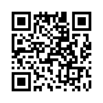 T38321-02-0 QRCode