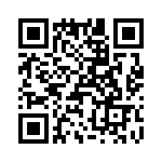 T38325-02-0 QRCode