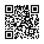 T38325-24-0 QRCode