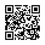 T38335-01-0 QRCode